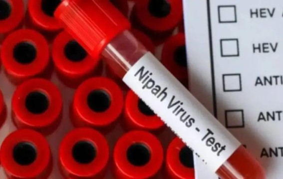 Kerala Issues Nipah Alert in Three Districts After Two Suspected Cases Reported